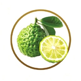 Bergamot