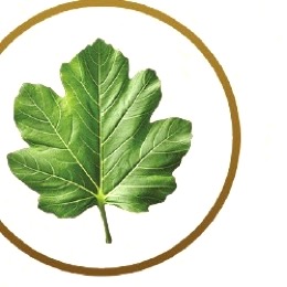 İncir Yaprağı