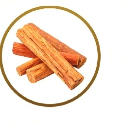 Sandal Ağacı